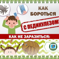 Педикулёз и чесотка: риски возрастают Педикулёз и чесотка: риски возрастают.
